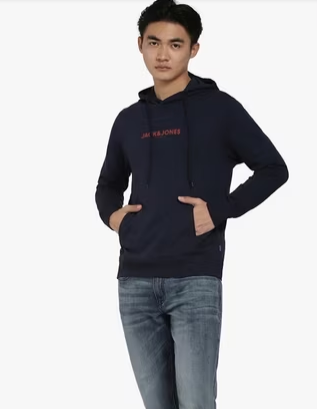 Handpicked - Jack & Jones Hoodie - Lebanon